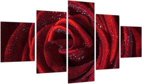 Obraz - Czerwona róża z kroplami rosy (125x70 cm)