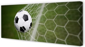 Obraz na płótnie Klasyczna Piłka Na Trawie