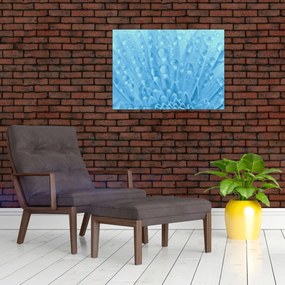 Obraz na szkle - Ujęcie makro kwiatu (70x50 cm)