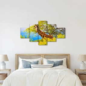 Obraz żyrafy w Afryce (125x70 cm)