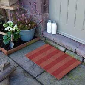 Wycieraczka z włókna kokosowego 40x60 cm Pink Stripe – Artsy Doormats