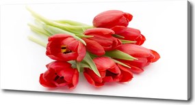 Foto obraz na płótnie Czerwone tulipany
