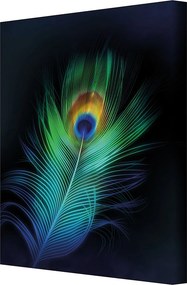 Obraz na płótnie Peacock Eye