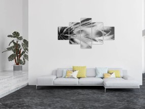 Obraz - Makro, czarno - biały (125x70 cm)