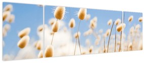 Obraz - Złote pole (170x50 cm)