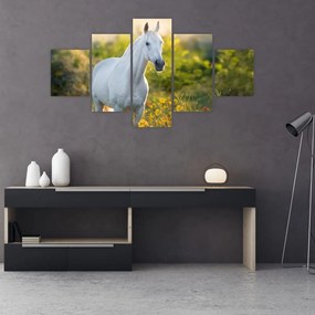 Obraz białego konia na łące (125x70 cm)