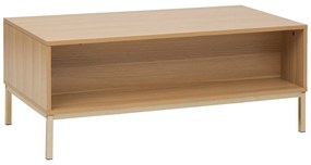 Niski stolik kawowy prostokątny TASSO, 100 x 50 x 40 cm