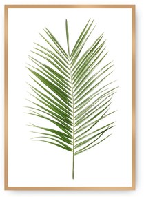 Plakat Palm Leaf Green