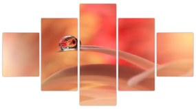 Obraz kwiecistej kropli rosy (125x70 cm)