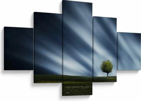 Obraz zorzy polarnej nad wrzosowiskami (125x70 cm)