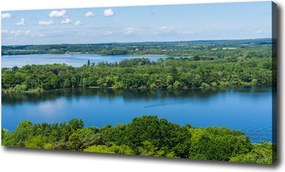 Foto obraz na płótnie Las nad jeziorem