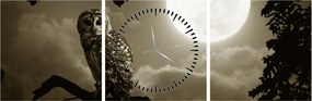 Obraz - Nocna sowa, złoty (z zegarem) (90x30 cm)