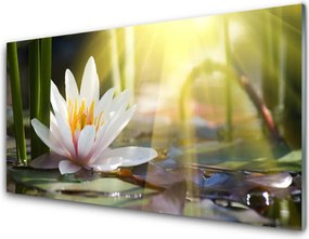 Szkło Ozdobne do Kuchni Lilia Wodna w Złotym Blasku