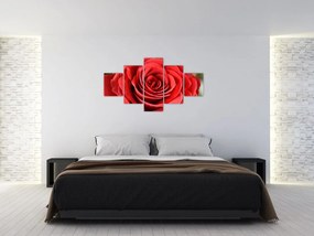Obraz kwiatu róży (125x70 cm)