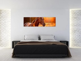 Obraz - Koń o zachodzie słońca (170x50 cm)