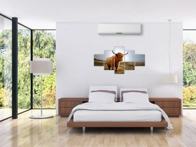 Obraz szkockiej krowy (125x70 cm)