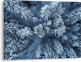Obraz - Śnieżny las (70x50 cm)