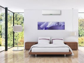Obraz - Płatek z kroplami (170x50 cm)