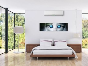 Obraz kota (170x50 cm)