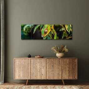 Obraz kameleona (170x50 cm)