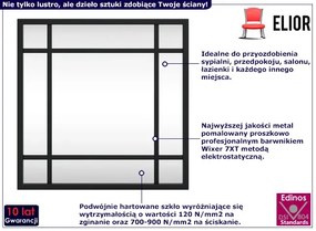 Minimalistyczne lustro z czarną metalową ramą Ustor