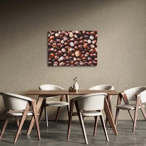 Obraz - Dojrzałe kasztany (70x50 cm)