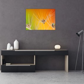 Obraz kropli na roślinie (70x50 cm)