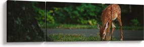 Wizerunek jelonka (170x50 cm)