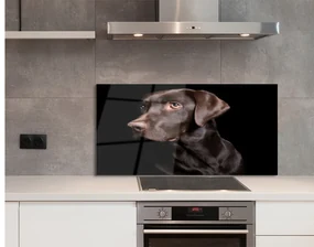 Szklany Panel Brązowy pies