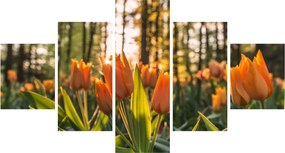 Obraz - kwiaty tulipanów (125x70 cm)