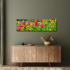 Obraz kwiatów polnych (170x50 cm)