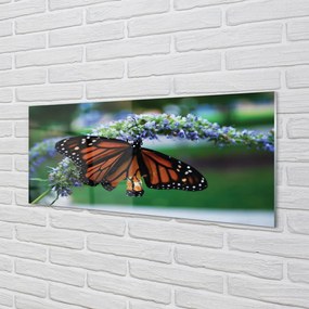 Panel Szklany Motyl Spijający Nektar