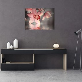 Obraz na szkle - Kwiaty i motyl (70x50 cm)