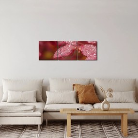 Obraz - Obraz biletu w trybie makro (z zegarem) (90x30 cm)