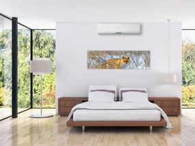 Obraz - Lis (170x50 cm)