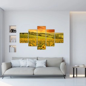Obraz - Pole słoneczników (125x70 cm)