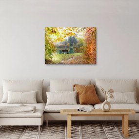 Obraz stawu (70x50 cm)