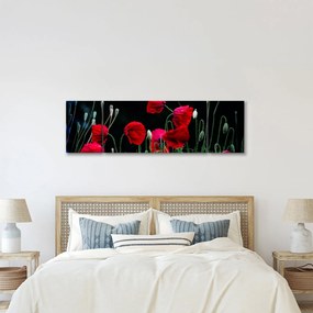 Obraz - Taniec maków (170x50 cm)