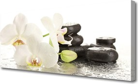 Obraz canvas Spokój Zen: Kwiatowa Harmonia