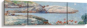 Obraz - Childe Hassam, Poppies,  Isles of Shoals, reprodukcje (170x50 cm)