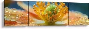 Obraz - Szczegół kwiatu (170x50 cm)