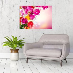 Obraz na szkle tulipanów (70x50 cm)