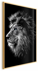 Plakat Niebieskooki lew 29,7x42 cm z ramą złotą bez marginesu ARTGEIST B