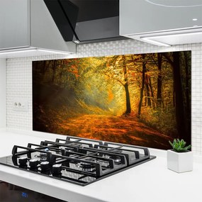 Panel Szklany Leśna Ścieżka W Słońcu