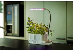 Metalowa stacja do uprawy roślin Lamp – Esschert Design