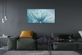 Obraz canvas na ścianę Ulotne Krople na Dmuchawcu