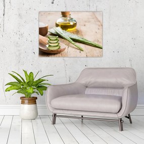 Obraz - Aloes (70x50 cm)