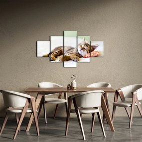 Obraz - Śpiący kotek (125x70 cm)