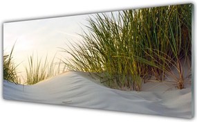 Panel Szklany Wydmy Piaszczyste I Trawy