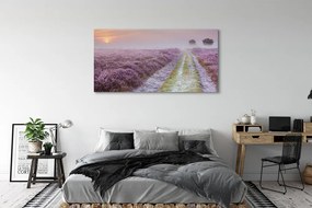 Obraz na płótnie Pole Wrzosów